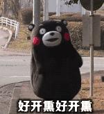 东营五一假期好去处,五一东营去哪里玩比较好