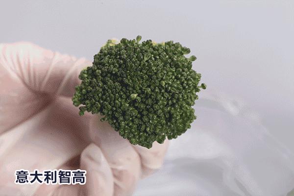 农药残留如何解决,奶瓶清洁剂和普通洗洁精