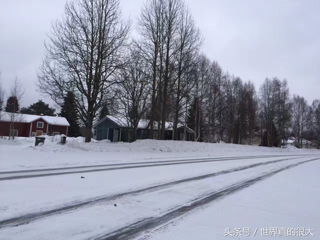 北纬66°34，我与极光相遇