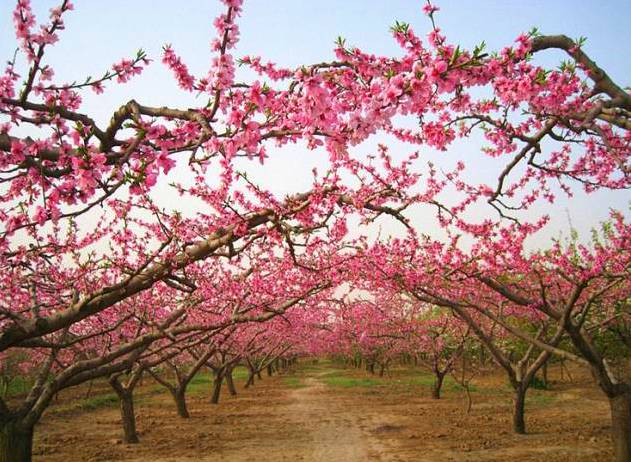 河北创意婚纱照攻略,河北拍婚纱照推荐去的地方