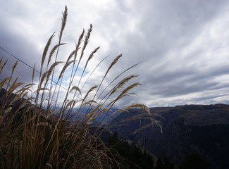 新西兰全景巴士,那些自驾游来不及知道的事儿(北岛+南岛超多公共交通实用信息各类购票详细教程InterCity)