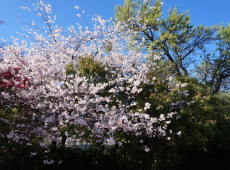 新西兰全景巴士，那些自驾游来不及知道的事儿（北岛+南岛超多公共交通实用信息各类购票详细教程InterCity）