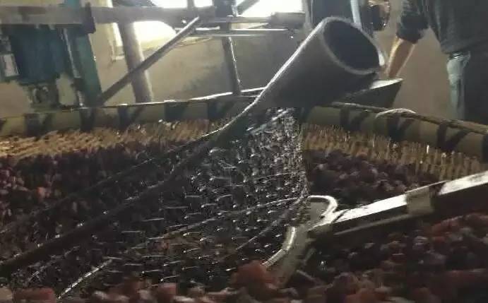 贵阳脆哨软哨,贵州贵阳正宗猪油