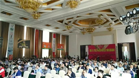 猪业山河论坛开幕,中国农牧产业大会生猪论坛