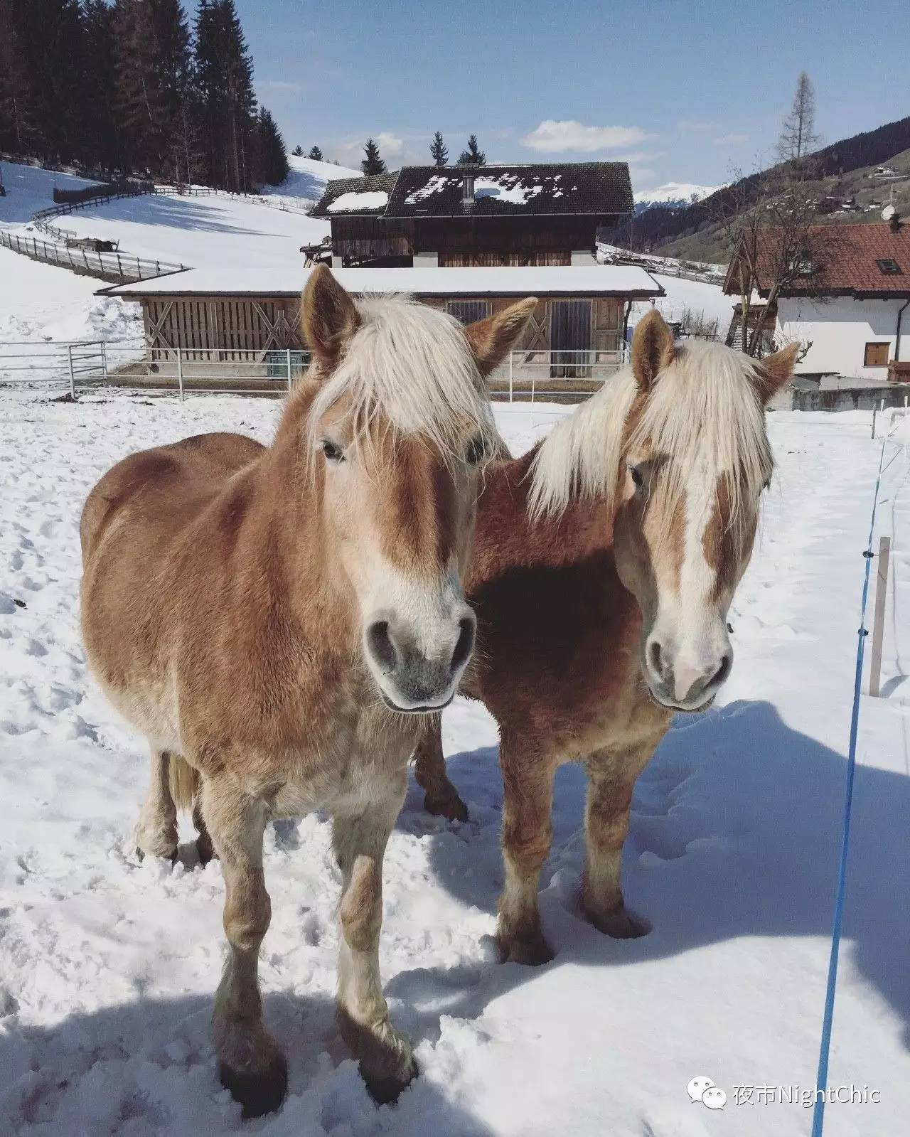 意大利冬天去哪里,意大利冬天去哪里好玩