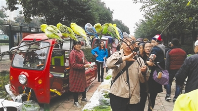 厉害了大妈跳藏族广场舞,厉害大爷大妈健身