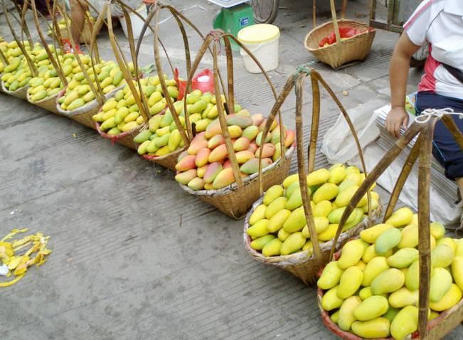 植物王国奇迹果,水果王国植物图鉴系列