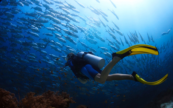 泰国旅游详细攻略实用篇,泰国最全讲解及旅行攻略