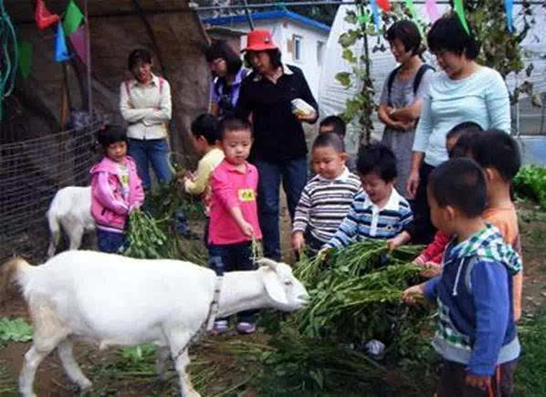 浙江五一旅游攻略亲子游,五一山东小众旅游亲子游