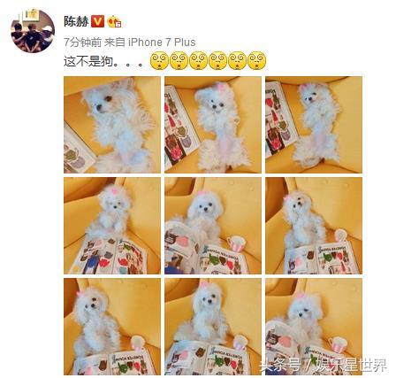 陈赫抱的狗狗,陈赫绑粉发带怀抱小狗