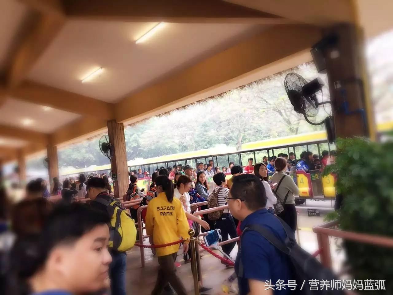 广州长隆海洋王国一日游攻略,广州长隆海洋王国亲子攻略