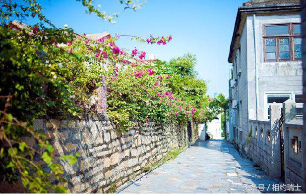 鼓浪屿船票自助游,鼓浪屿自助游