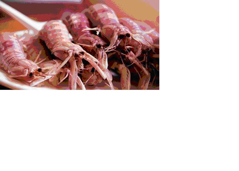 镇江网警周报一分钟！网传五台山一女尼结婚？皮皮虾被“注胶”？