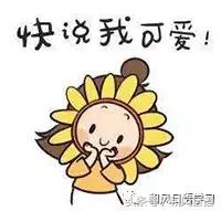 炫妻狂魔带着醉酒的日本人撒了成吨的狗粮！