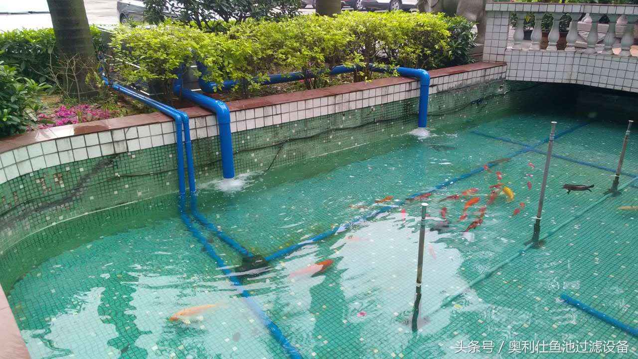 22立方鱼池价格一览表,36平方鱼池建造价格一览表