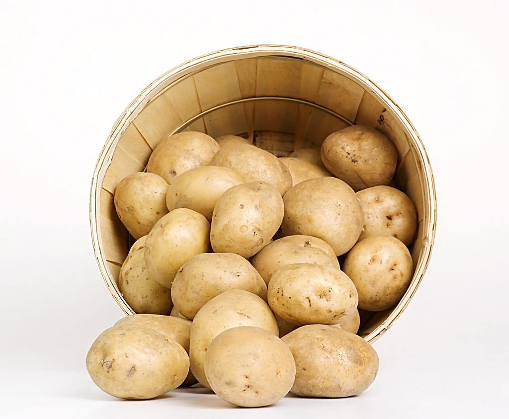 全国土豆行情分析,全国2021土豆批发价与土豆走势