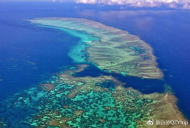 大堡礁技巧,大堡礁刚开始怎么玩