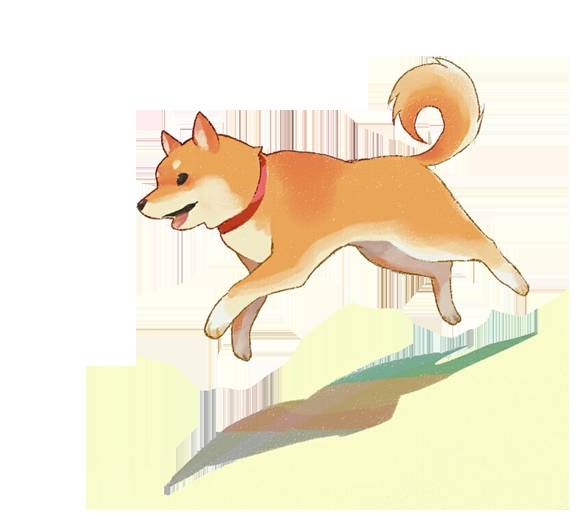 天气多变，宠物生病怎么办？