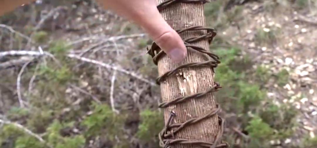 行尸走肉第七季解说评价,行尸走肉第七季第几集开始反抗