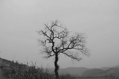 photoshop怎么快速框选抠图,如何用photoshop快速抠图