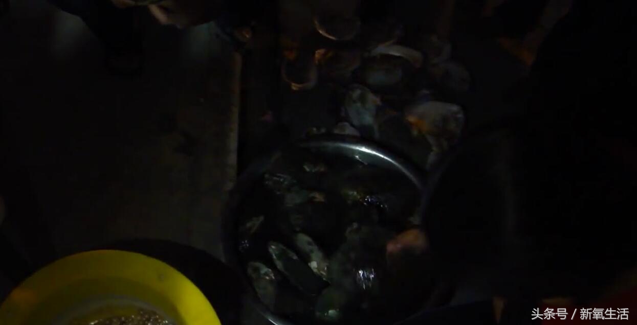 真正的野生珍珠切开什么样,为什么野生的珍珠比较值钱