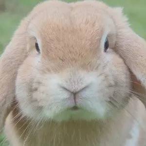 都说IT销售NB，看完我真信了~