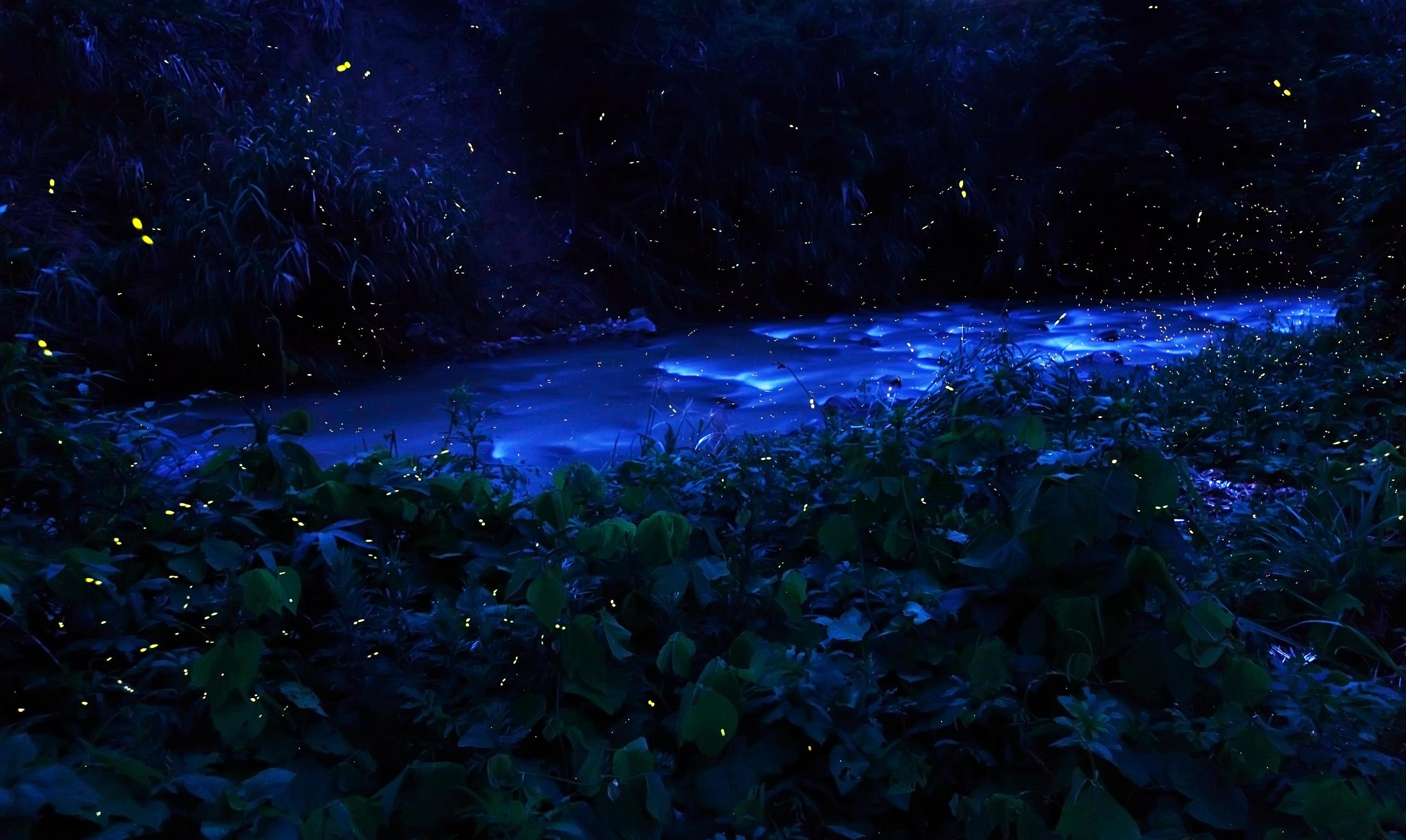 小扇引微凉悠悠夏日长全诗,小扇引微凉悠悠夏日长什么意思