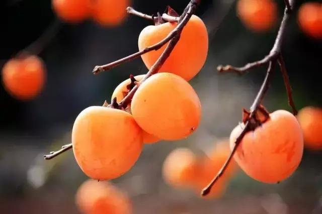 大西安真正的美景,大西安临潼