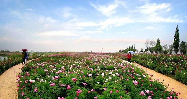 泗洪旅游攻略山东,泗洪旅游攻略自驾游