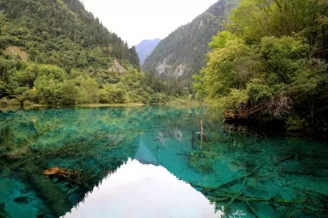 陪你在成都的街头走一走,和我到成都的街头走一走的歌名