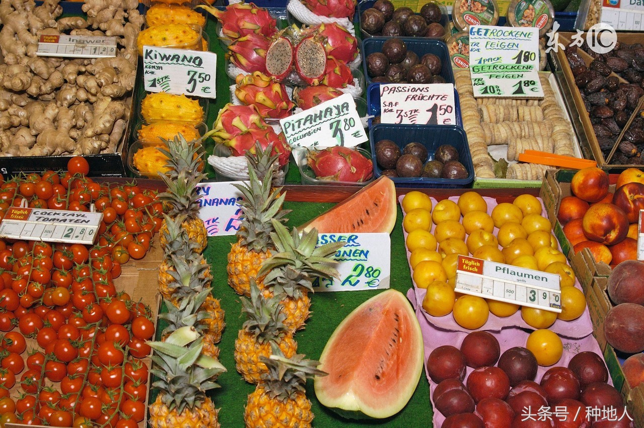 四川水果的成熟季节,水果成熟季节一览表