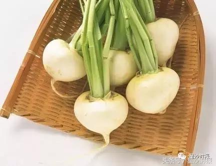 道韵㮾梨，和美水乡，一起去这千年古镇，赴一场穿越之旅可好？