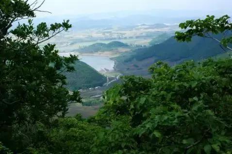 西安3月底周边赏花踏青一日游,武汉踏青自驾一日游推荐