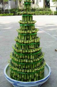 学习旺文昌运的方法,如何增强孩子的文昌运势