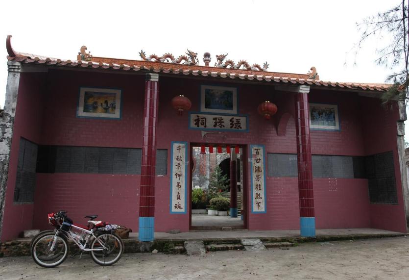 广西博白县桂圆柚之乡,广西博白桂圆2023批发价格