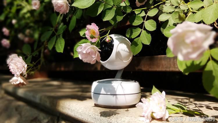 科技便利,科技生活便捷服务