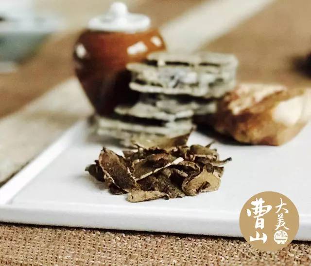 脑子进水了用什么方法能救活,脑子进水了吃什么药好