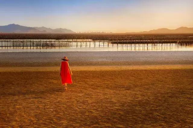 4月照片,4月的照片大全