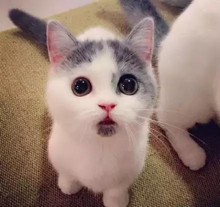 步步惊心讲了一件什么事,步步惊心片段宿舍