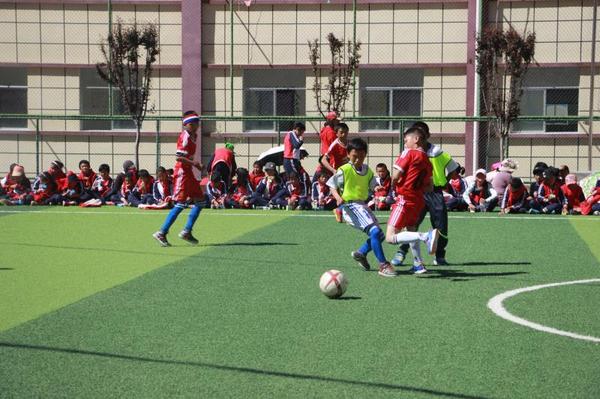 雪域高原上的孩子,雪域高原的孩子