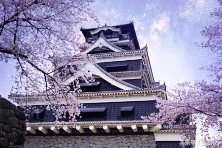 不用签证就可以去旅游,不用签证可以直接出国吗