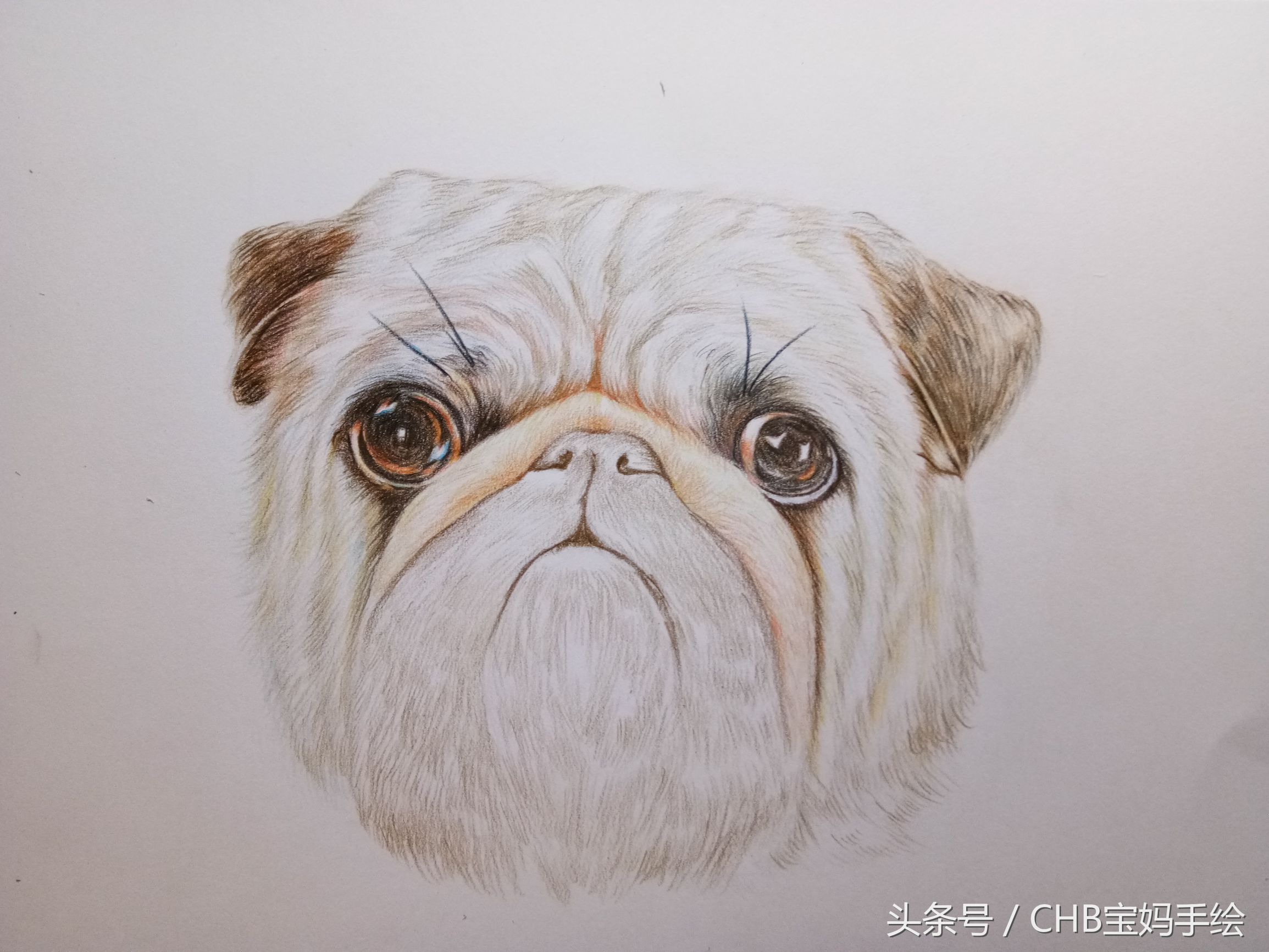 零基础学画漫画萌少女彩铅,如何学彩铅画狗