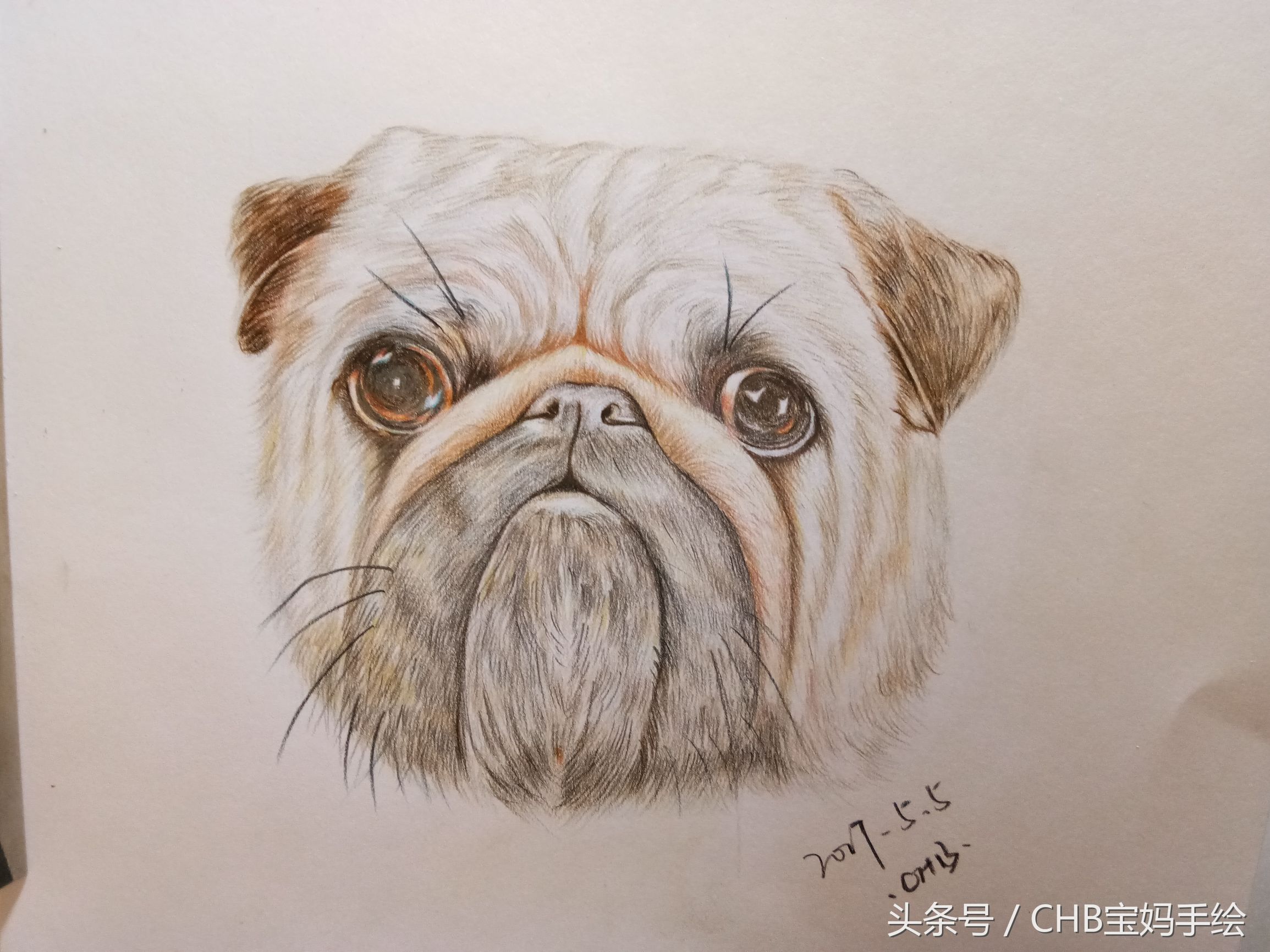 零基础学画漫画萌少女彩铅,如何学彩铅画狗
