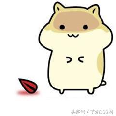 假国产奶粉,中国宝宝假奶粉