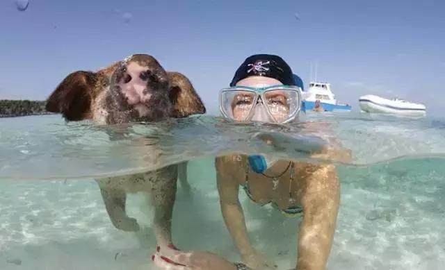 比马尔代夫便宜的小众海岛,马尔代夫免签好去处