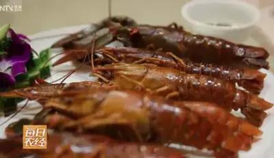 蓝色的龙虾最喜欢吃什么,蓝色的龙虾吃什么