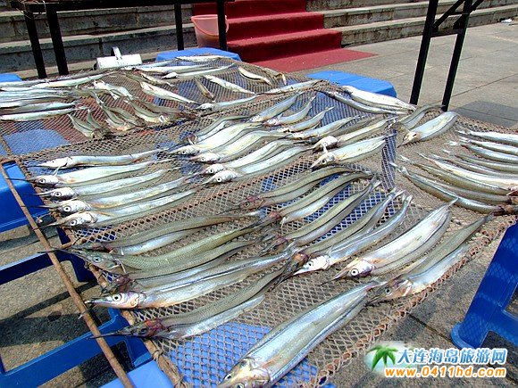 大连旅游攻略赶海和美食,大连旅游攻略必去的十大美食