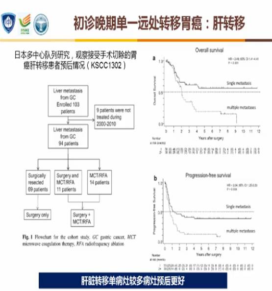 2023版csco胃癌诊疗指南分子检测,2024csco胃癌诊疗指南