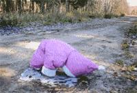 我能怎么办我也很无奈啊表情图,我到底该怎么办啊我太难了