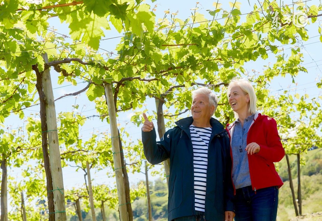 想要爱情长久的句子,想要爱情稳固必备的三大因素